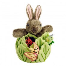 hide away rabbit in a lettuce