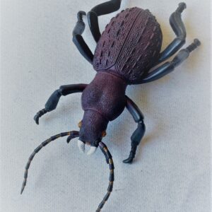 large plastic beetle